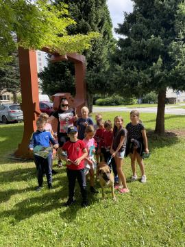 Razigrano ravensko poletje ŽIVE OBLIKE (1)